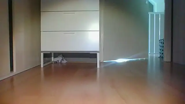 RamonJoosse2002n Webbikameraesitys