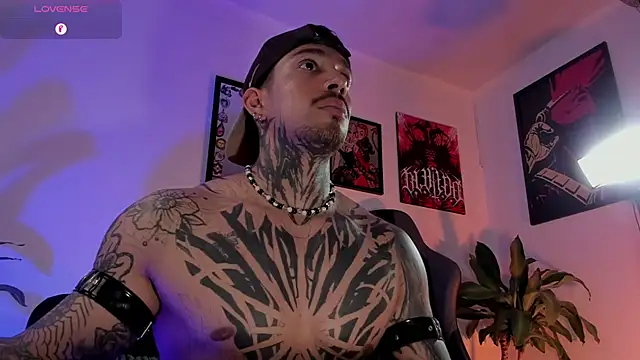 Pokazy przed kamerką – TigerStripes1_