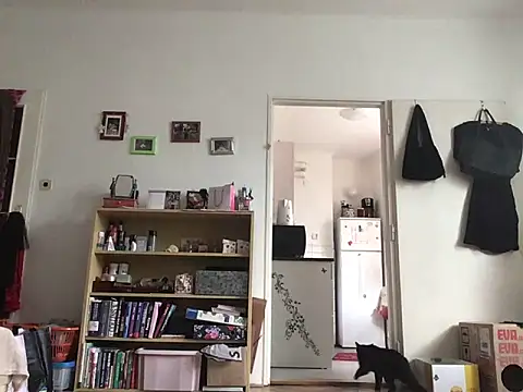 Živý XXX chat Salon1986