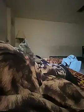 NaughtyVelocity502's Webcam Show