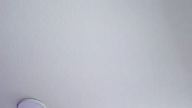 _Charlotte_Collins_のウェブカメラショー