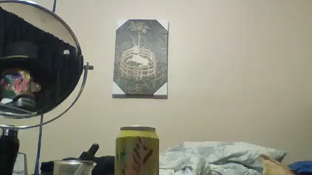 hailzeffn Pertunjukan Webcam
