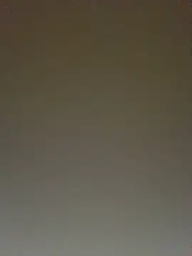 TheDime's Live XXX Chat