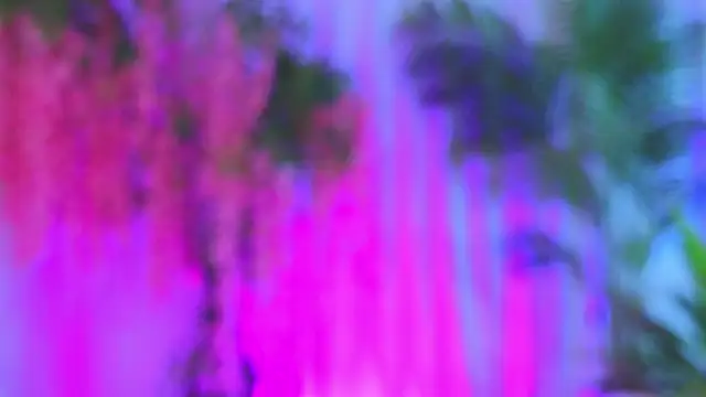 EvaHair live XXX chat