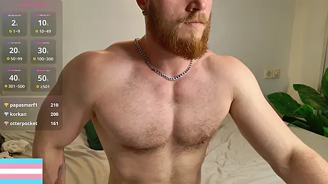 VictorTransManのウェブカメラショー