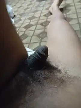 medo141414n Webbikameraesitys