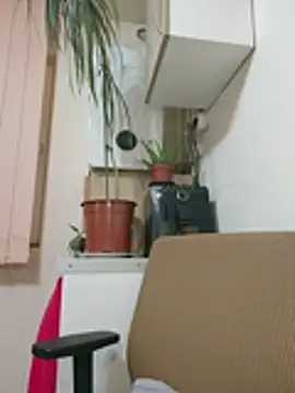 Chat XXX Live AdaJoy