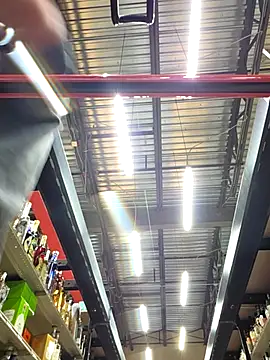 bear8t Show in webcam