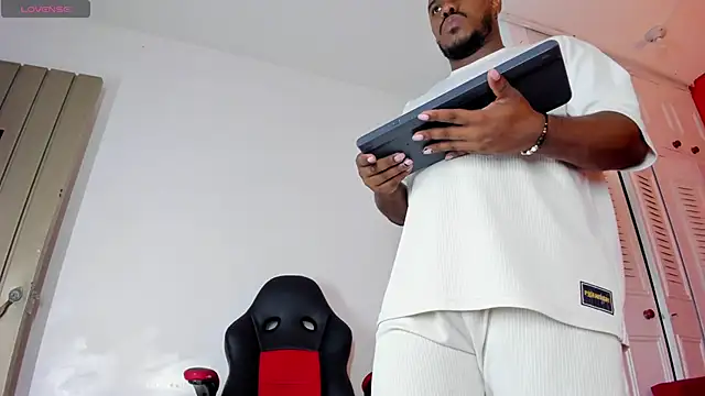 Alessandro_Hamedn Webbikameraesitys
