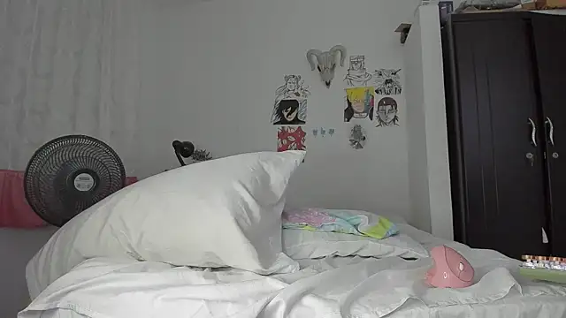 Webkamerová show SonSett