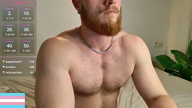 VictorTransMan Show Webcam