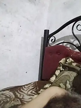 عرض كام salimbasha