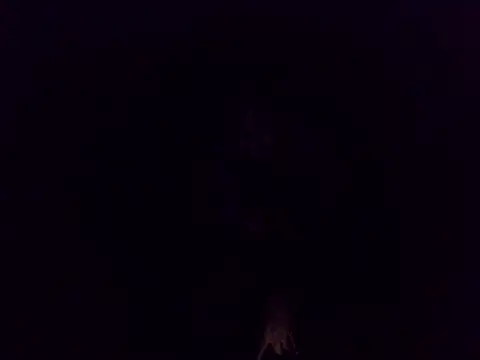 ice_brandy's Live XXX Chat