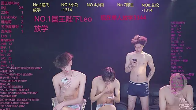 AAA-winner Show Webcam