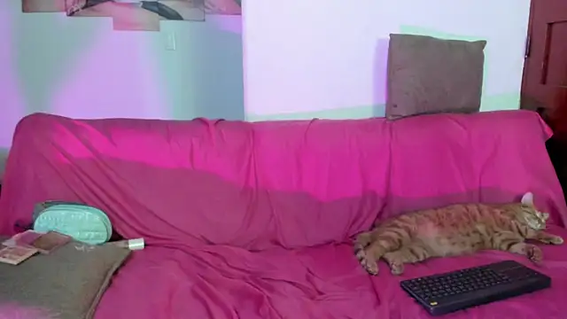 Chat XXX en directo de Nikki__uwu