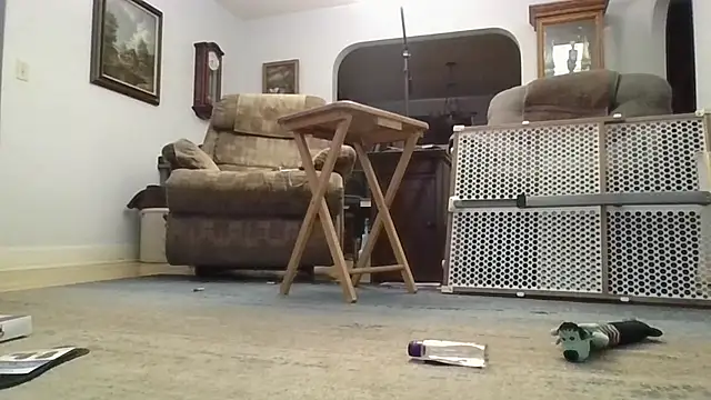 stcpot Show in webcam