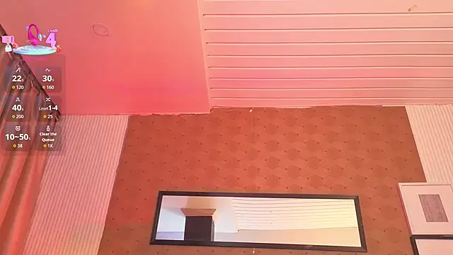 Show webcam de slim_tian