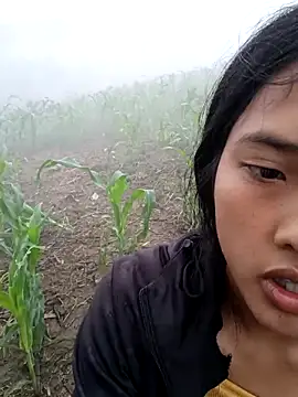 Sembang XXX Secara Langsung Hoa-tuylip