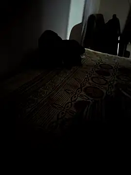 عرض كام kalnsuhn