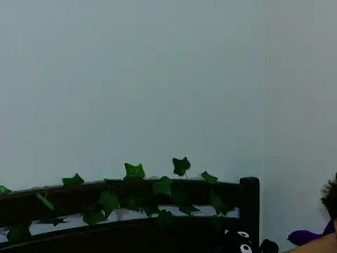 Randy_Blitzo Webcam Show