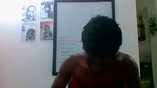 Show webcam de charles_king