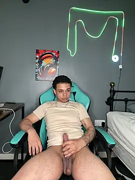 Show webcam de l-laross