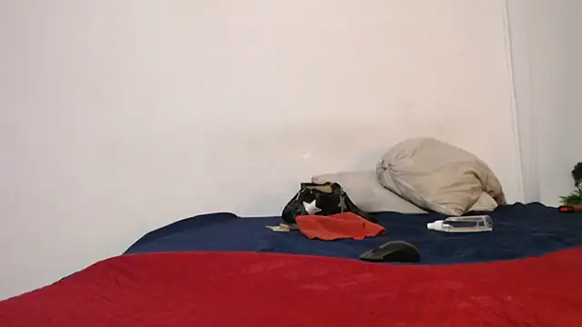 Czat XXX na żywo – onixandghosty1