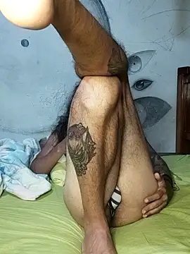 Show Webcam de iirgastam3
