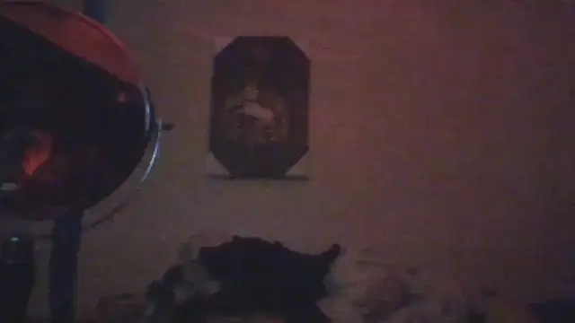 hailzeffn Live XXX-chat