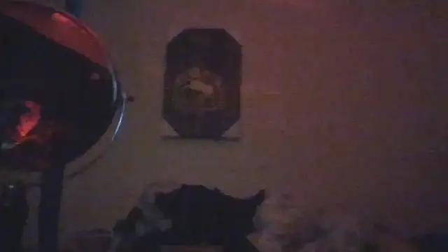 hailzeffn Live XXX-chat