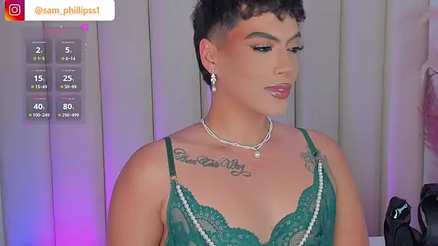 sam_phillipssn Webbikameraesitys
