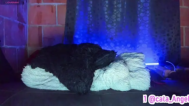 Živý XXX chat Cata-angel