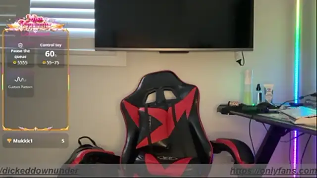 OFFICAL_DICKEDDOWNUNDERn Webbikameraesitys