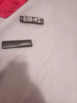 brotherdot Webcam show