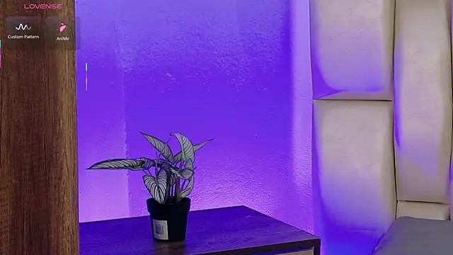 Shasa_8 élő XXX-chatje
