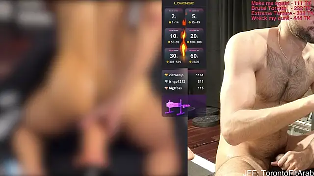 Toronto325 Webcam-Show