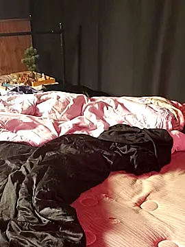 Show Webcam de B4KINC