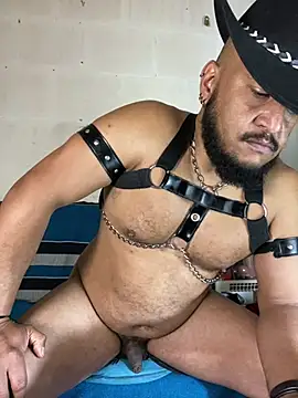 عرض كام the_master_foal_