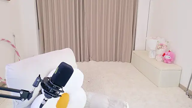 Dancing-CoCo-Pro 网络视讯表演