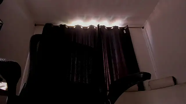 Show webcam de s_sven03