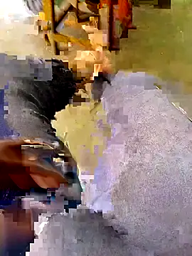 Playbo100 라이브 XXX 채팅