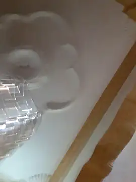 HANRSON Webcam-Show