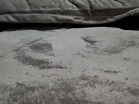 SkivedStayer Show in webcam