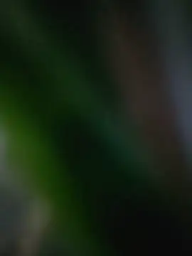 RoomExotic11 Live XXX Chat