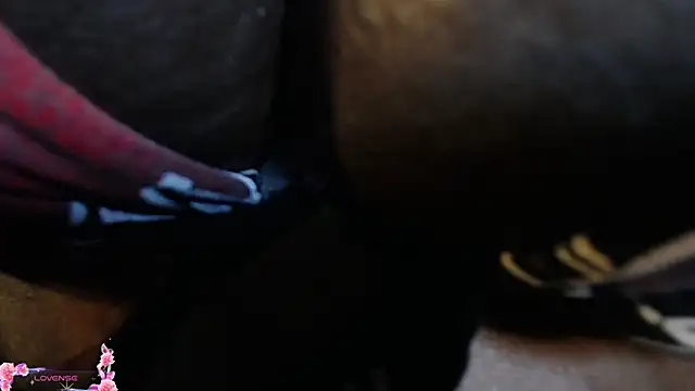 Živý XXX chat KARATIBBY_COX