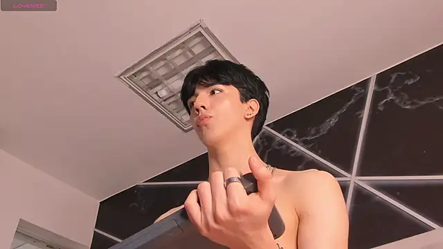 Show webcam de AerumChae