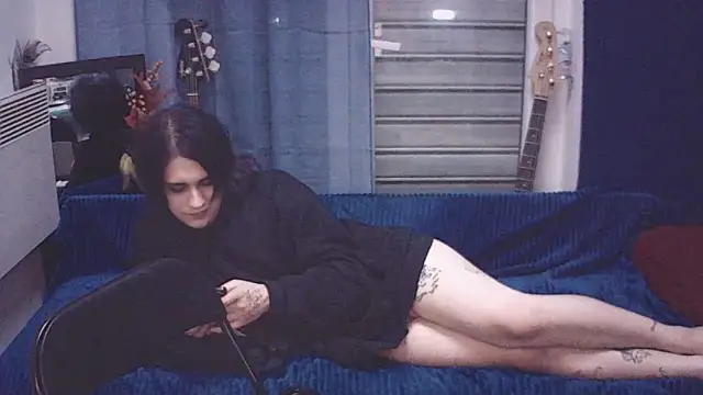 Show webcam de sademobeer