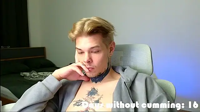 DENIS_HERE Show Webcam