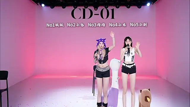 Show Webcam de cdyyds-01