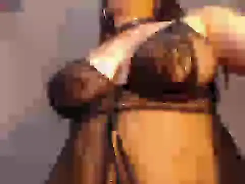 Chat +18 de elizabeth_t_ ao vivo